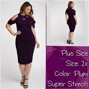 Plus Sized Ruched Bianca Dress
